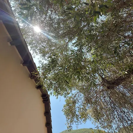 Olga's Sea View - 500m From Ipsos Διαμέρισμα *