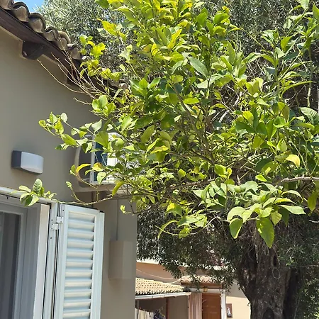Appartamento Olga's Sea View - 500m From Ipsos