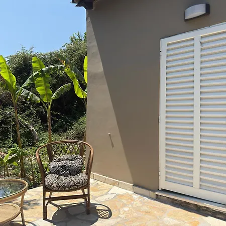 Olga's Sea View - 500m From Ipsos Appartamento *