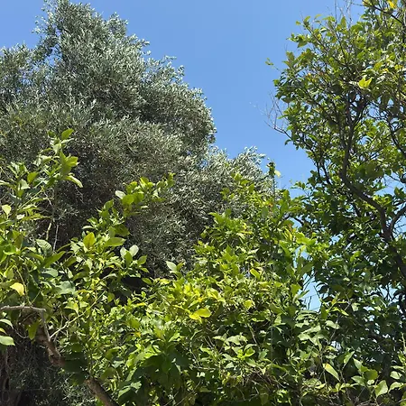 Olga's Sea View - 500m From Ipsos Pyrgi (Corfu)