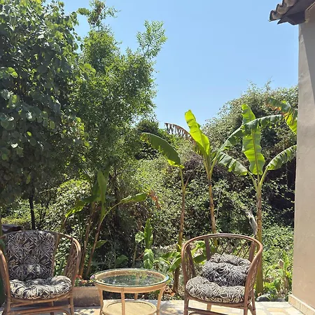 Olga's Sea View - 500m From Ipsos Appartamento *