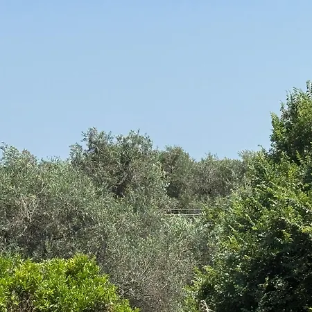 Διαμέρισμα Olga's Sea View - 500m From Ipsos *