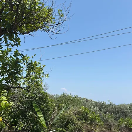 Olga's Sea View - 500m From Ipsos Appartamento Pyrgi (Corfu)