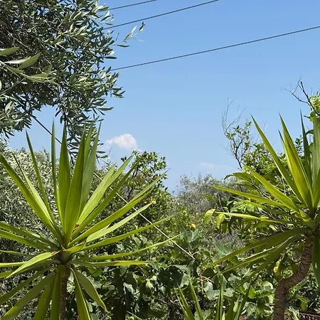 Olga's Sea View - 500m From Ipsos Appartamento *